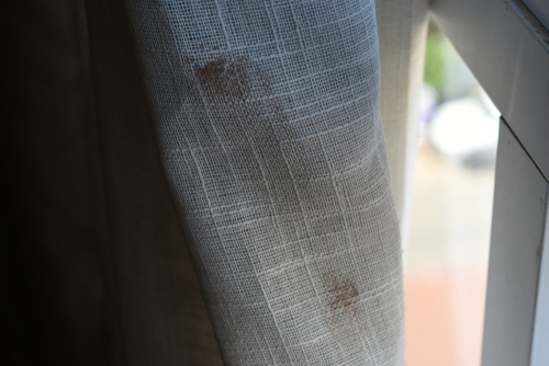 Things To Keep In Mind While Cleaning Your Curtain